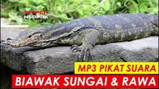 LANGSUNG PADA NGUMPUL...!!! SUARA MEMANGGIL BIAWAK DI SUNGAI MAUPUN RAWA