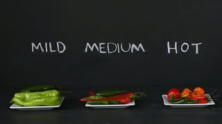 Which Chile Pepper Should I Use When- Kitchen Conundrums with Thomas Joseph