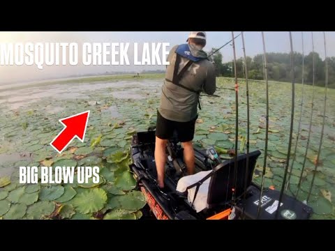 They Were in the THICK STUFF! Mosquito Creek Lake Bass Fishing (OKF Stop 4)