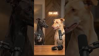Dog Podcast News: Protecting Family Goes Viral