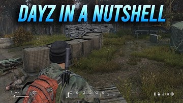 DayZ explained in 60 seconds...