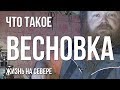 Что такое весновка.  Жизнь на Севере. Моя весновка 2019.