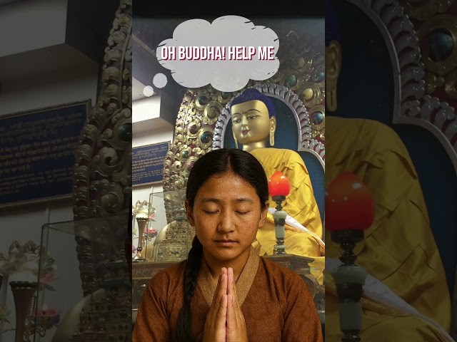 Four Principal Commitments of His Holiness the Dalai Lama: Knowledge on Emotions for Inner Peace