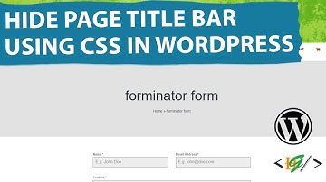 How to Hide Page Title Bar using CSS in WordPress
