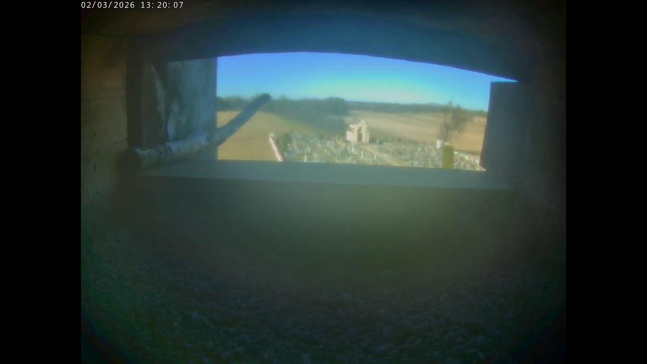 Prokop Pithart Live Stream