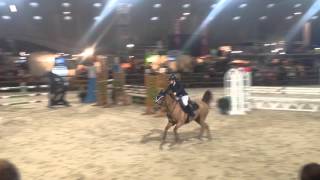Kathalina Ter Leen Vlp 1.10M Jump Off Jumping Mechelen2015