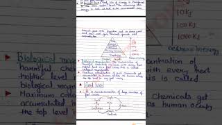 Ch 13 Our Environment handwritten notes pdf/Class 10 NCERT/ BASED ON LATEST syllabus science class10