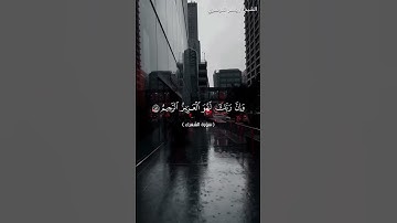 سورة الشعراء من  آية 157 إلى آية 164 بصوت الشيخ ياسر الدوسري♥♥