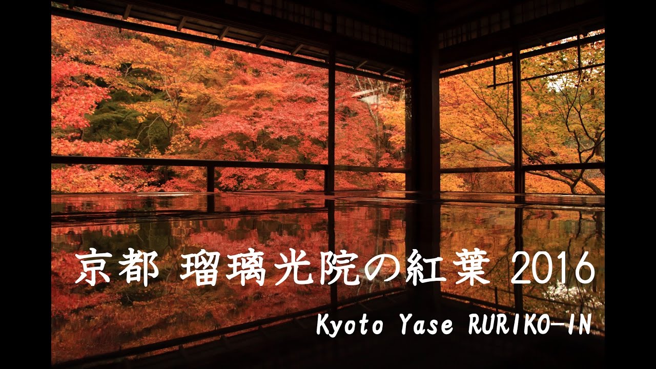 京都 瑠璃光院の紅葉16年11月 Kyoto Ruriko In Youtube