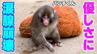 「疲れた？」ママの頭をなでるパンチ君に涙が止まらない…