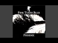 Pink Turns Blue - Phoenix