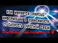 Как меняется природа информации в зависимости от скорость обратной связи