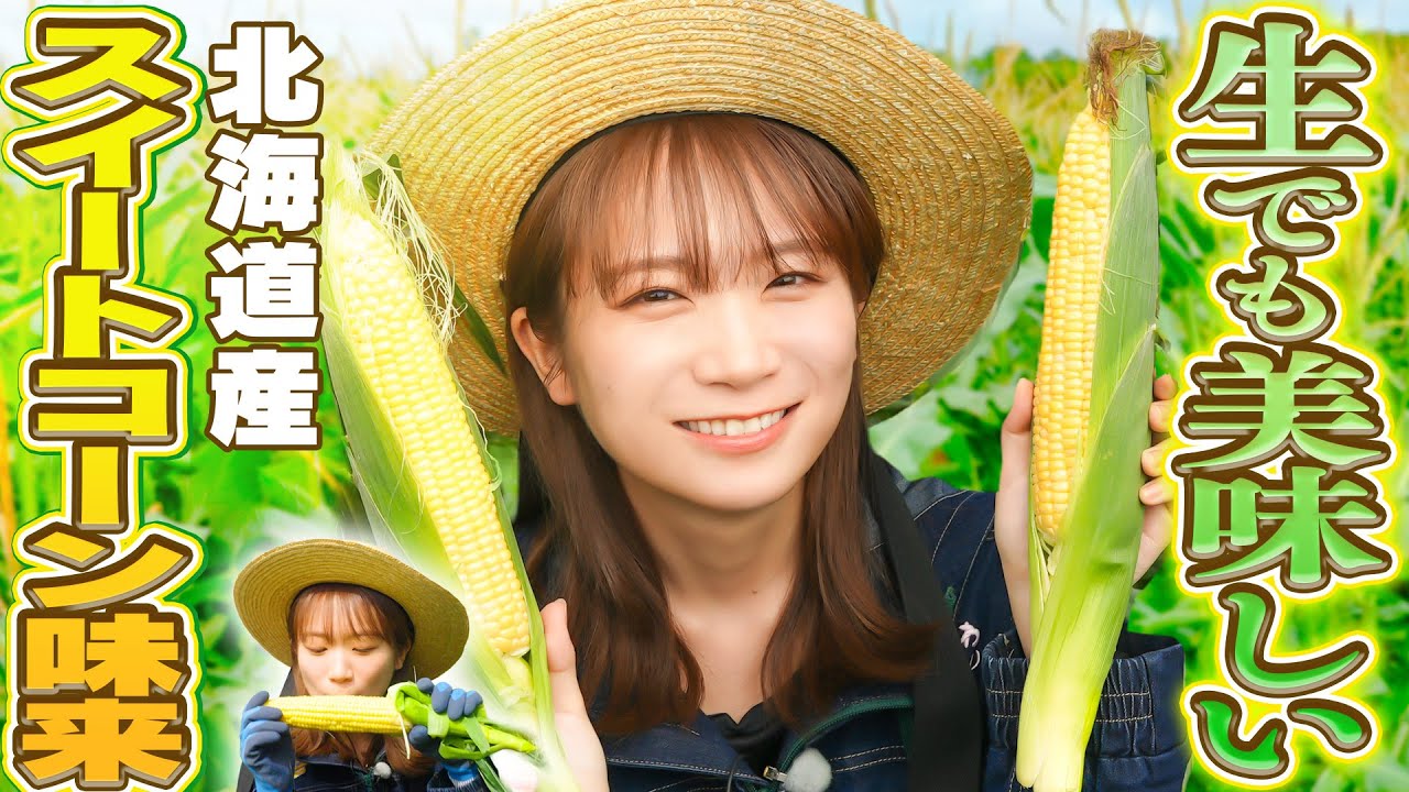 秋元真夏が北海道へ！まるでフルーツのようにとってもあま〜いトウモロコシ「スイートコーン味来」を収穫！！