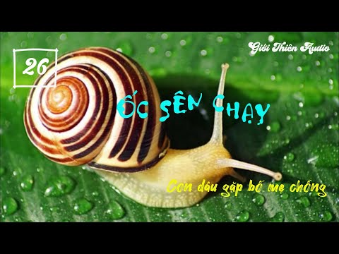 Video ỐC SÊN CHẠY - Chương 26| Điệp Chi Linh | Truyện Ngôn... - youtube