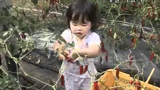 인간극장 - Screening Humanity 20091022 #004