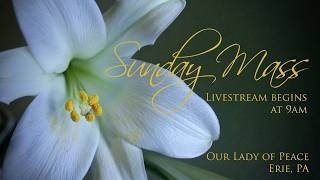 Pentecost Sunday - May 24, 2026