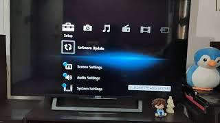 Sony HT-iv300 Firmware (software) update by USB screenshot 5