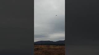Eagle Tree Vector loiter mode, loiter brake and hold in high wind and turbulence