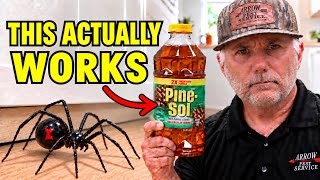 Get Rid of Spiders! (Easy DIY)