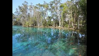 Three Sisters Springs, Crystal River FL by J. 33 views 4 years ago 2 minutes, 5 seconds