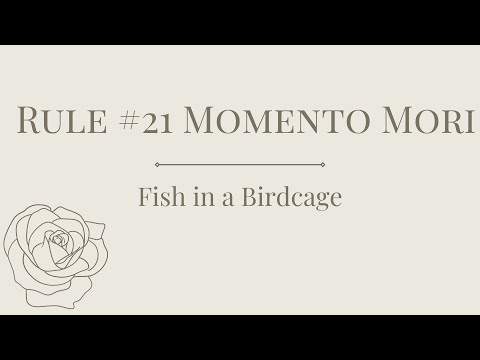 Fish in a