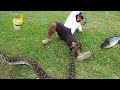 DANGEROUS SNAKE attacks while Bass Fishing!! HELP identify