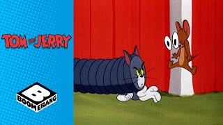 Jerry Protects a Duckling | Tom & Jerry | Boomerang UK