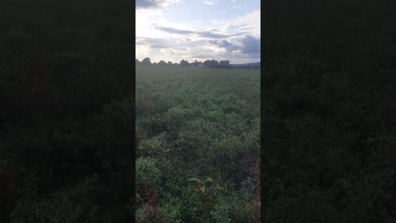 Selling 6acre Parcel of Land at Kithimani,