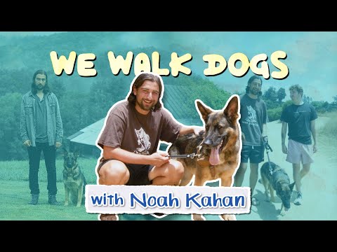 Noah Kahan Can't Stop Writing Songs About Dogs 