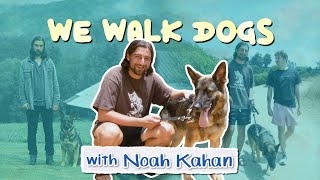 Noah Kahan Can't Stop Writing Songs About Dogs | WeWalkDogs