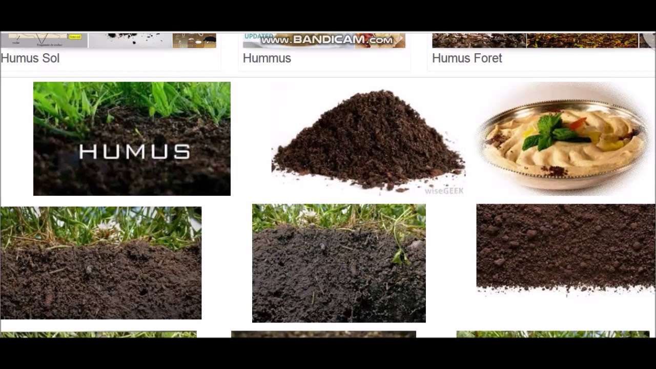 Reconnaître une bonne terre pour son faire un jardin bio - YouTube