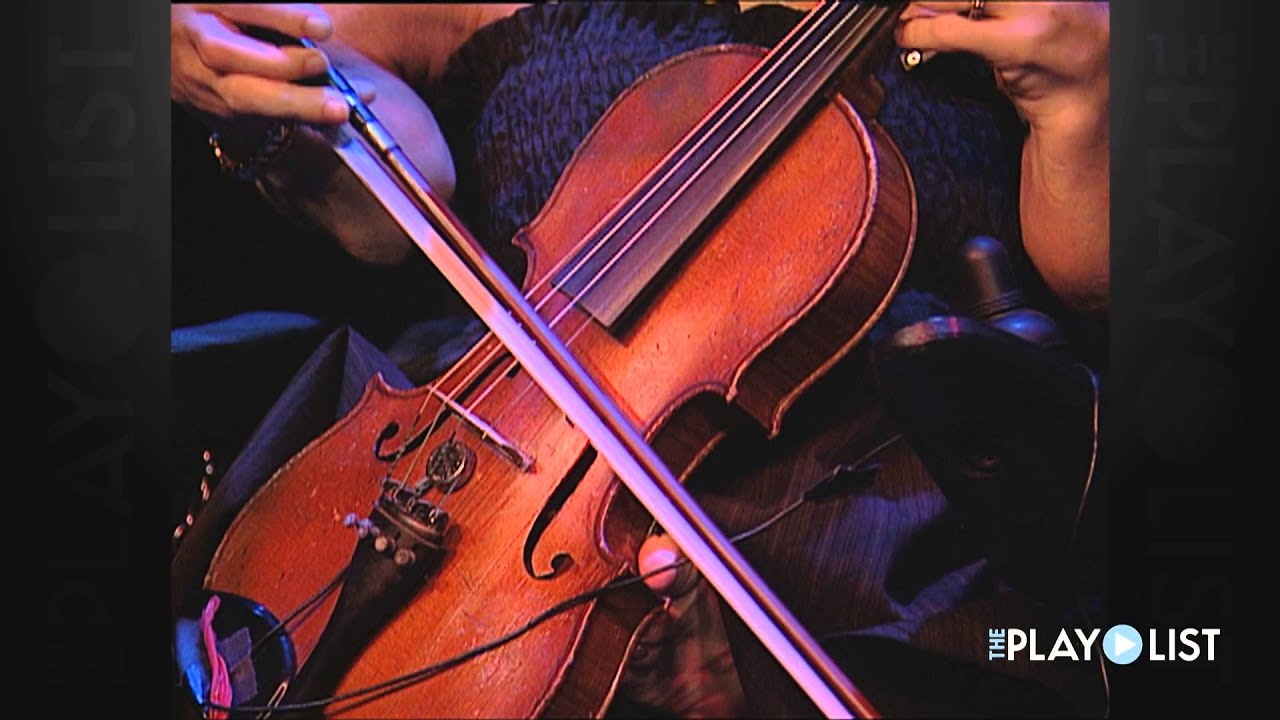 The Murder of Crows, 