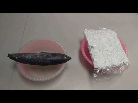 resep-makanan-kucing-bergizi-dengan-low-budget