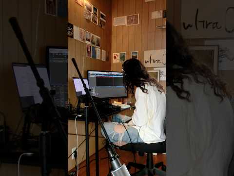 gerbera demo one shot video