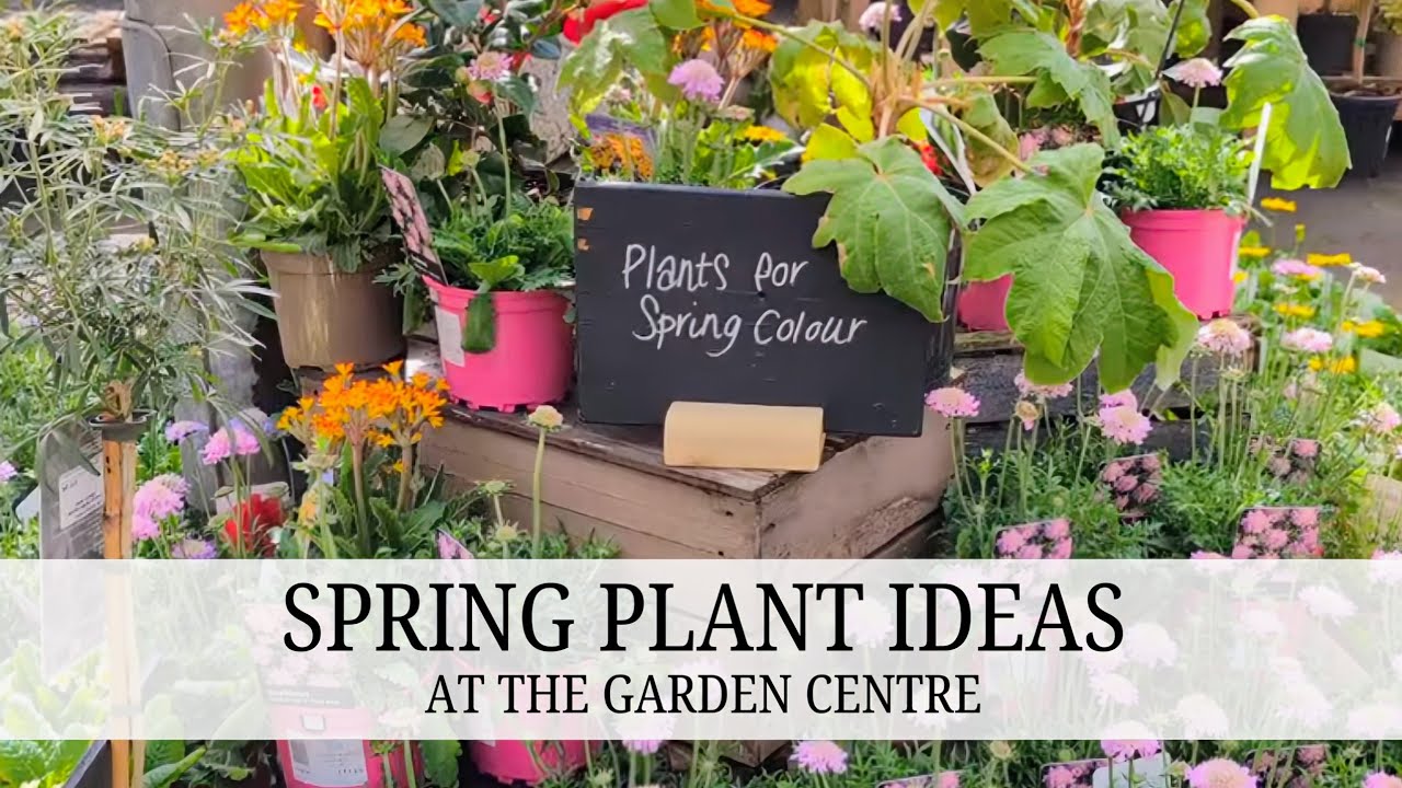 102. Shopping For Spring Plants / What's Available?