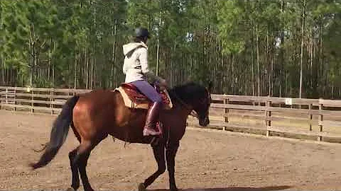 Invy jog