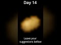 Day 14 of making my custom texture pack!