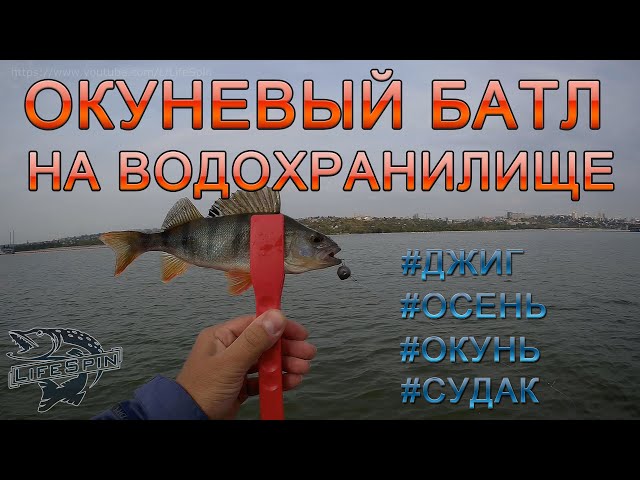 Окуневый батл на водохранилище