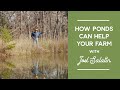 How a pond can seriously upgrade your farm  joel salatin