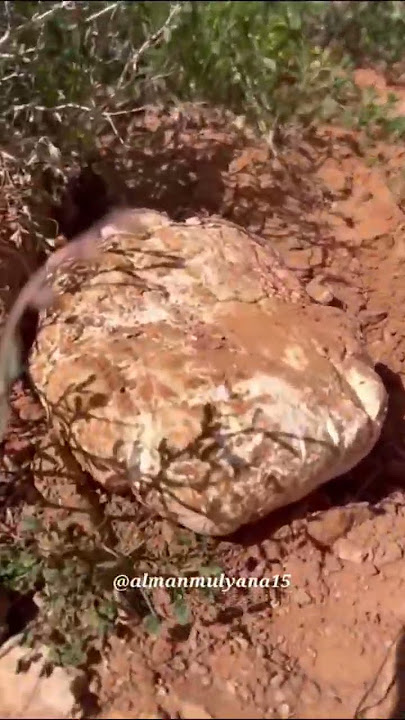 MAKANAN KESUKAAN NABI MUHAMMAD ﷺ YG MASIH DIBURU ARAB BADUY