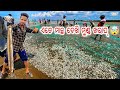 ଜାଲରେ ପଡିଲା ପ୍ରବଳ ମାଛ ॥ ମାଛ କିଲ ହେଲା 10 ॥Fishplant99 ॥
