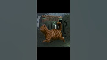 The Best Companion in FO4