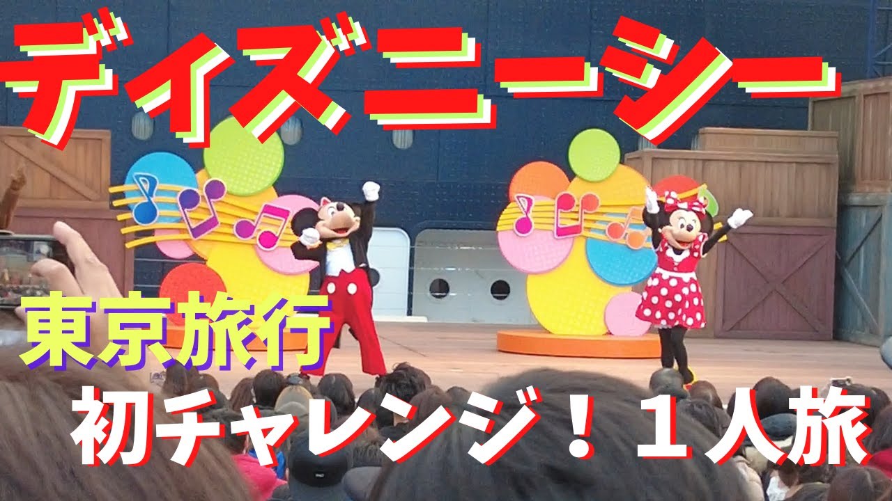 1人で楽しむクリスマスディズニー 初チャレンジ 還暦おばさん1人disney Vlog イブニングパスポートでビリーブはどこで見れる Youtube