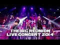 Girl thing  last one standing the big reunion live concert 2014