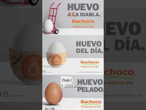 ¡La publicidad de Bachoco es una de las mejores de todos los tiempos!
