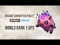 Arcane Corrupted Piglet Boss Fight (Forgiving Difficulty) Rank 1 DPS | PigPonyPocalypse