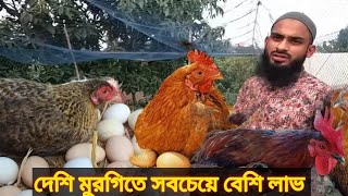 বাড়ির ছাদে দেশি মুরগির খামার করে ঝলক দেখাচ্ছে ফয়সাল || দেশি মুরগি পালন পদ্ধতি || Desi Murgi Palan