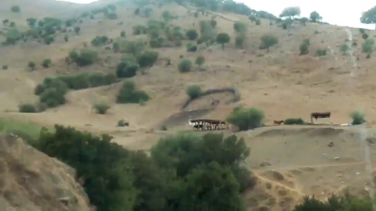 فاطمة لخنفرية لعيبنش اسمي نبضاfatima lkhnifria laibnch asmi nbda