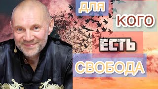 «Для кого существует СВОБОДА?🗽» Юрий Менячихин