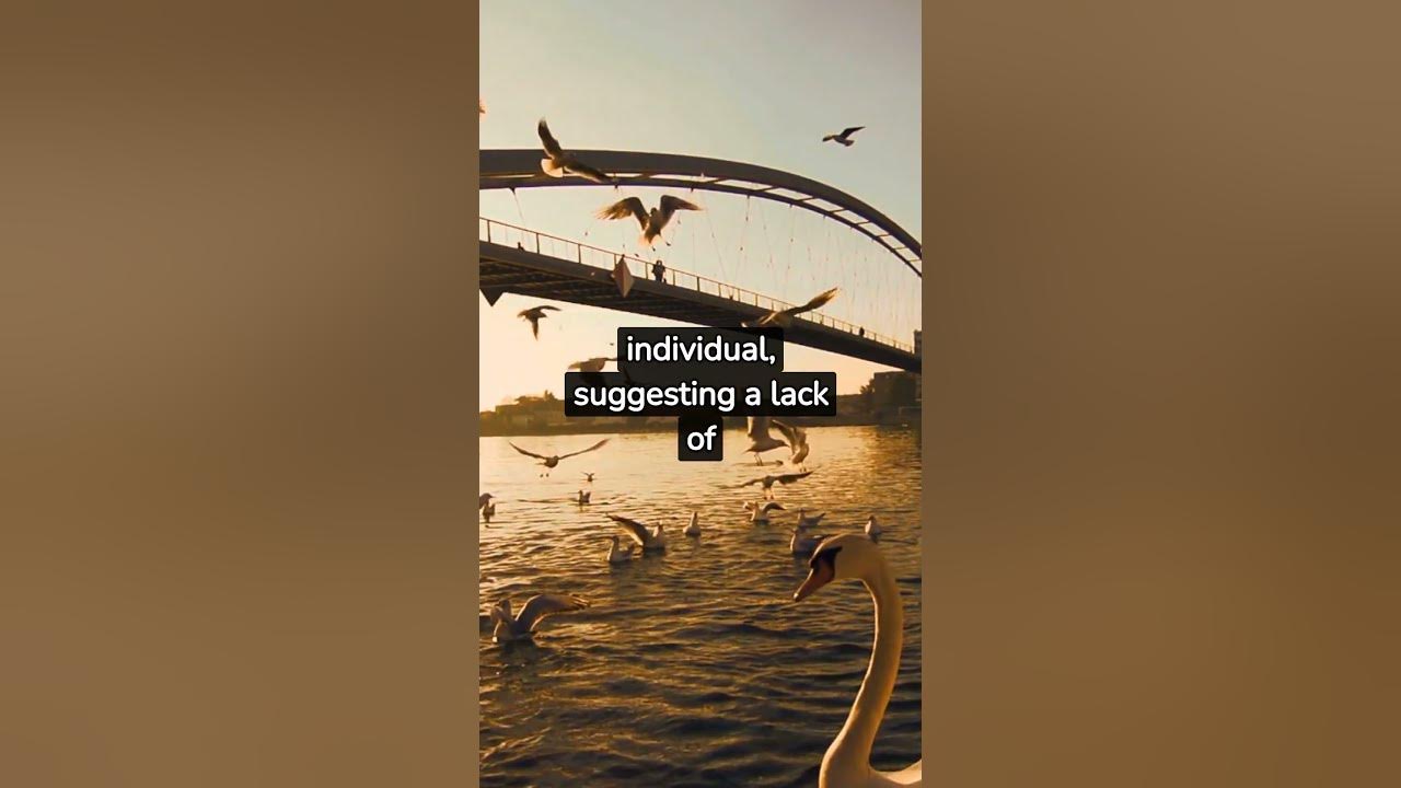 Mirror Do Birds Recognize Sense of Identity shorts animals YouTube